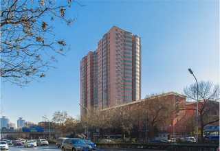 贵州全自动番茄加工生产线企业