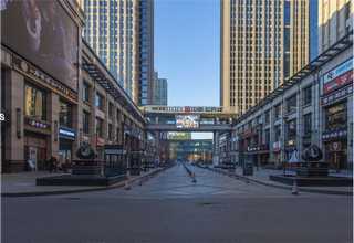 周口大型层叠式种鸡笼批发